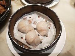 -红蜡烛-养生粥-津鲁菜(中山路店)