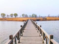 -野鸭湖国家湿地公园