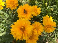 -石井坡(地铁站)