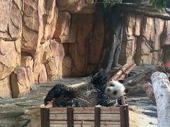 -泉州海丝野生动物世界