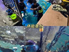 -波塞冬海底世界