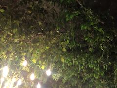 -柴米油盐(土菜院子店)