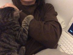 -凯特喵百思猫专科医院