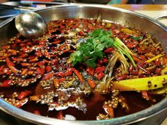 -味之绝热血美蛙鱼火锅(中坝店)