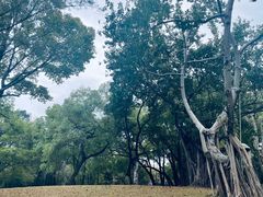 -晓港公园