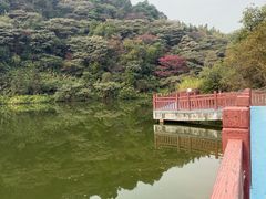 -黄埔油麻山森林公园