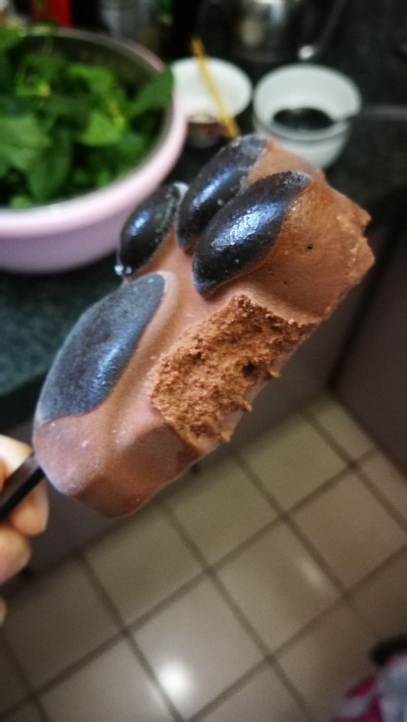 你一定要尝试一下,熊掌冰淇淋