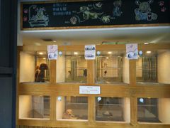 -诺诺宠屋(欧洲城店)