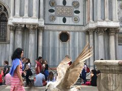 -圣马尔谷圣殿宗主教座堂