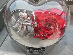 -ROSEONLY诺誓(广州K11店)