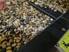 -极乐汇汗蒸会馆(杭州店)