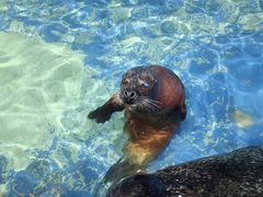 -太平洋海底世界