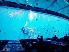 -瑞德姆美人鱼海底演艺主题餐厅(亚龙湾店)