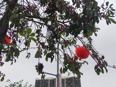 -阆辣荟餐饮(老味道8年·古城店)