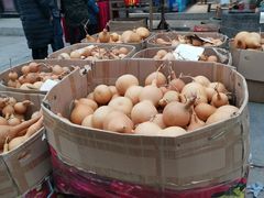 -桂林市花鸟市场