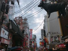 -大国药妆(NEW心斎橋店)