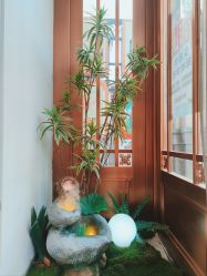 -禾壹净·素颜美问题肌肤修护中心