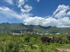-白水寺森林公园