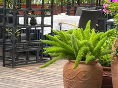 -百味馆·粤菜·湛江菜(后海花园店)