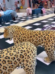 -meland亲子乐园•活动包场(北京亦庄龙湖天街店)