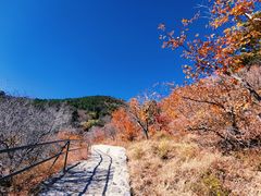 -香山公园