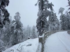 -瓦屋山景区