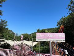 -青青世界