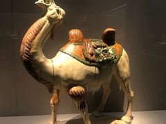 -台州博物馆