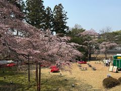 -醍醐寺