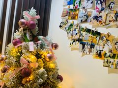 -Husky Go! 哈士奇体验馆·宠物咖啡厅狗咖