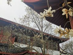 -堤角公园