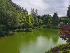 -和顺柏联温泉