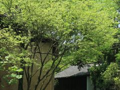 -法云安缦酒店