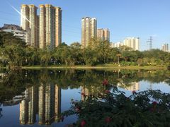 -晓港公园
