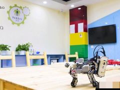 -卡巴机器人编程·少儿编程·信息学竞赛(公益西桥校区)