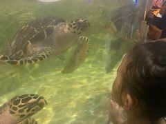 -石家庄海洋公园