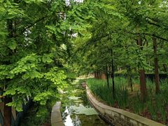 -白水寺森林公园