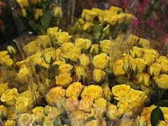 -循礼门鲜花花市(武汉循礼门店)