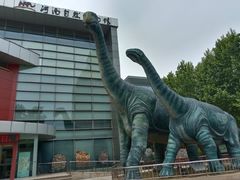 -河南自然博物馆