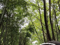 -宜兴张公洞