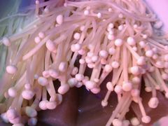 金针菇，魔芋-蘭奢雅集·江浙菜(青山江滩店)