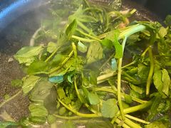 -东椰·海南椰子鸡火锅(朝阳门店)