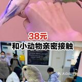 38元和小动物亲密接触