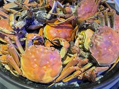 -半岛听涛蒸汽海鲜自助(K11店)