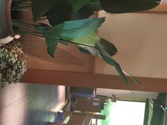 -沅江水·湖南家宴(南村万博长隆商圈店)