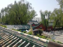 -管氏翅吧(地安门创始店)