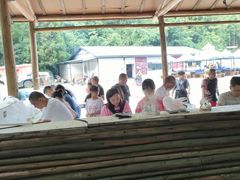 -武陵山森林公园