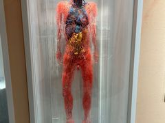 -陕西自然博物馆