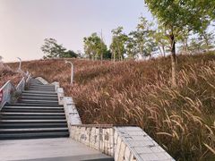 -白石龙音乐公园