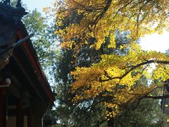 -红螺寺